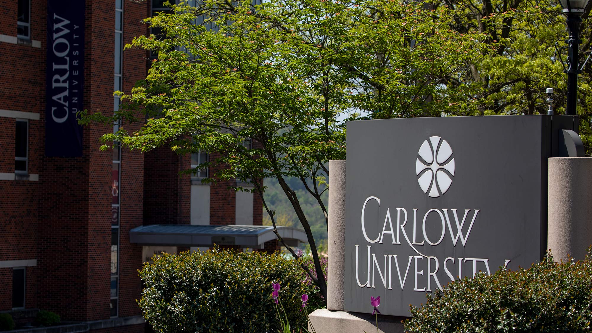 Admissions Aid Get Started Carlow University